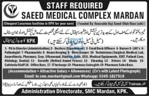 jobs in mardan